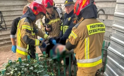 51-latek nadział się na ogrodzenie w centrum Warszawy. Strażacy wycięli płot