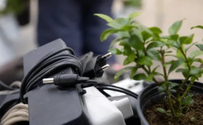Mieszkańcy Warszawy oddadzą elektroodpady i odbiorą sadzonki